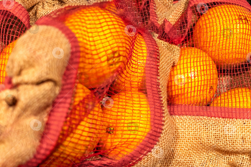 Скачать Апельсины крупным планом в экологически чистой холщовой упаковке. Забота об окружающей среде. Экологичность. Ноль отходов. Повторное использование фотосток Ozero