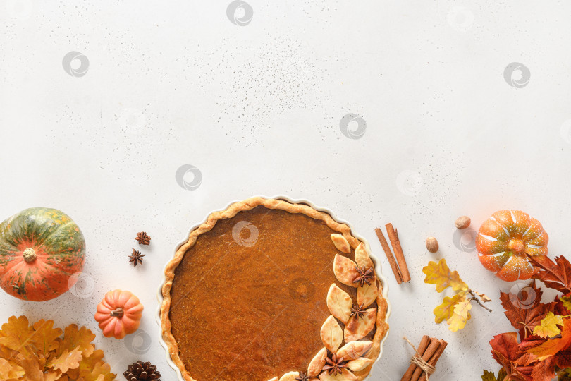 Скачать Домашний вкусный тыквенный пирог с ингредиентами на День благодарения. фотосток Ozero