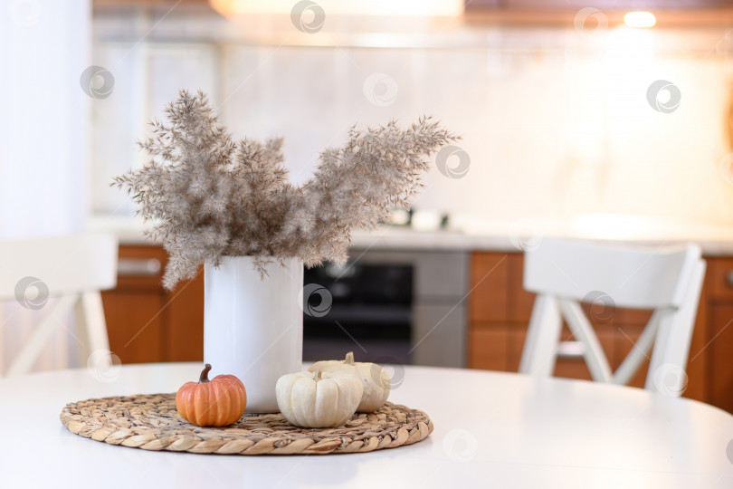 Скачать Современная кухня с осенним сезонным декором из осенних сухих цветов и тыкв. фотосток Ozero