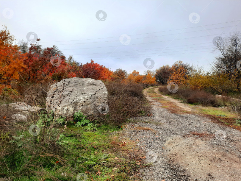 Скачать Осень фотосток Ozero