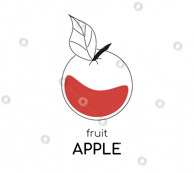 Скачать Иллюстрация к яблоку. Контурное изображение с каплей красного цвета. Плод яблони. Изолированный фрукт с текстом. фотосток Ozero