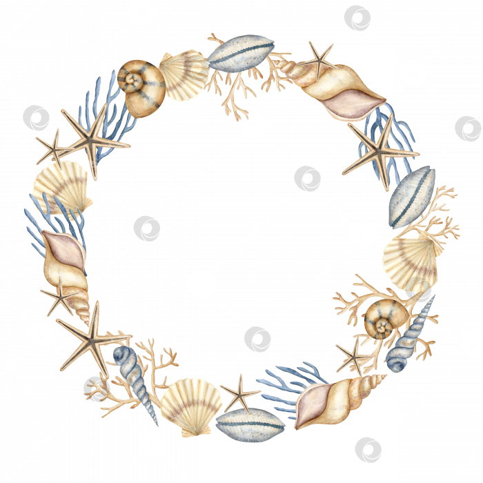 Скачать Акварельный венок из морских раковин на белом изолированном фоне. Нарисованная от руки иллюстрация круглой рамки с морскими раковинами. Подводная рамка для значка или логотипа в морском стиле с ракушками и морскими звездами фотосток Ozero