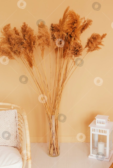 Скачать Ветви тростника в интерьере. Трава Помпас в стеклянной вазе на фоне бежевой стены. Атмосферное фото. фотосток Ozero