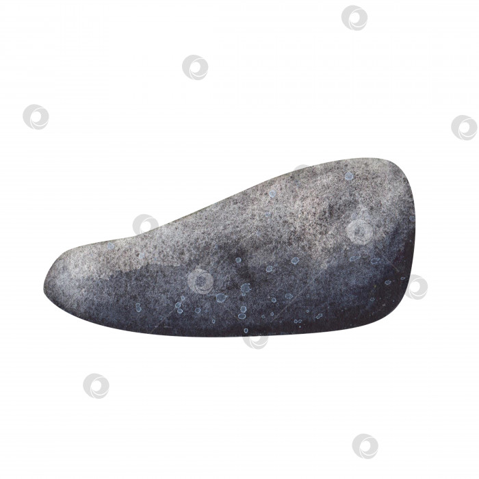 Скачать Морская галька из серого дзенского камня с выделяющимися полосками на белом фоне. Акварельная рисованная иллюстрация спа-салона для дизайна фотосток Ozero