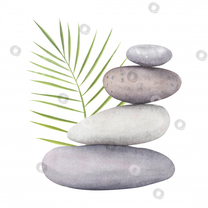 Скачать Дзен-камни, морская галька, лист финиковой пальмы, выделенный на белом фоне. Акварельная рисованная иллюстрация спа-салона для дизайна фотосток Ozero