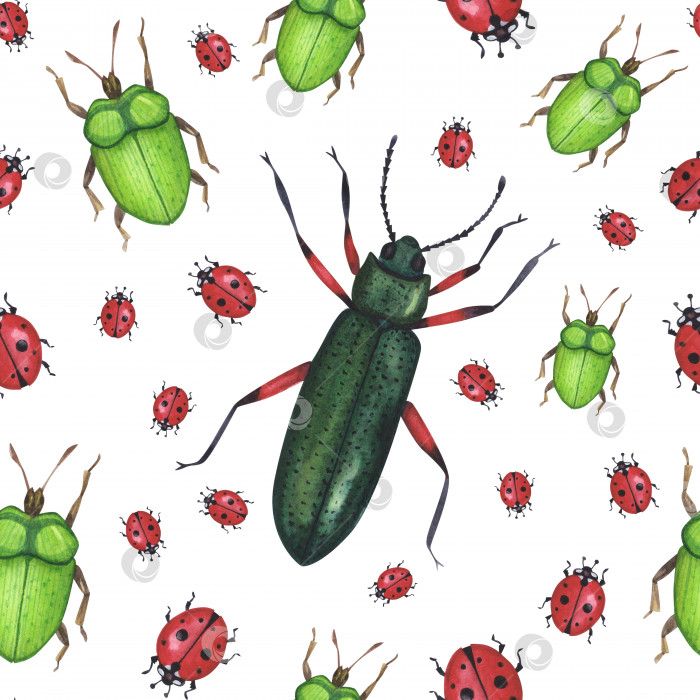 Скачать Бесшовный узор реалистичных жуков-насекомых, изолированных на белом фоне. Акварель, нарисованная от руки иллюстрация животных и жуков фотосток Ozero