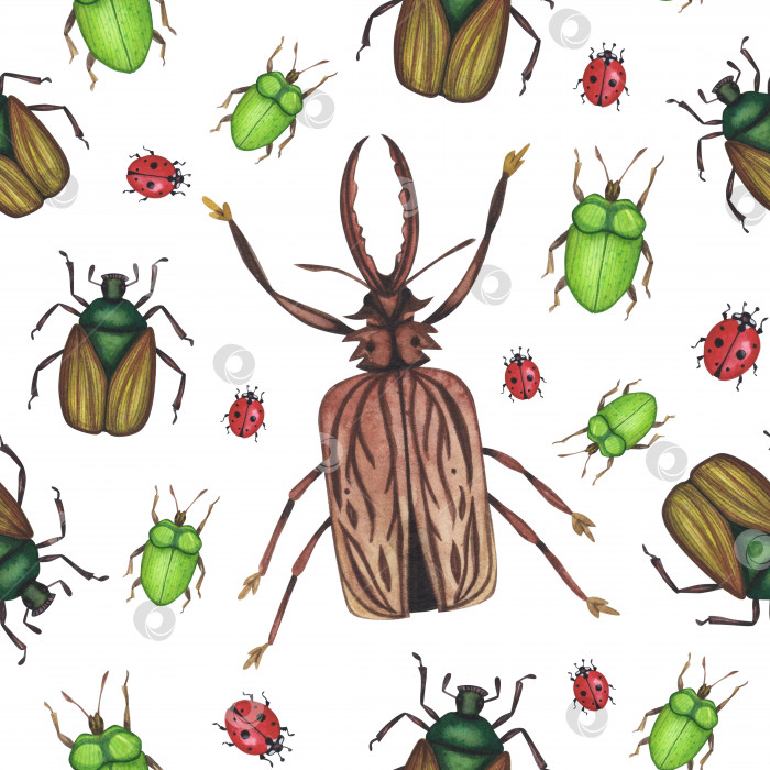 Скачать Бесшовный узор Реалистичных коричневых жуков-насекомых, выделенных на белом фоне. Акварельно нарисованные от руки животные и жуки иллюстративный дизайн фотосток Ozero