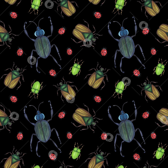 Скачать Бесшовный узор реалистичных жуков-насекомых, изолированных на черном фоне. Акварель, нарисованная от руки иллюстрация животных и жуков фотосток Ozero