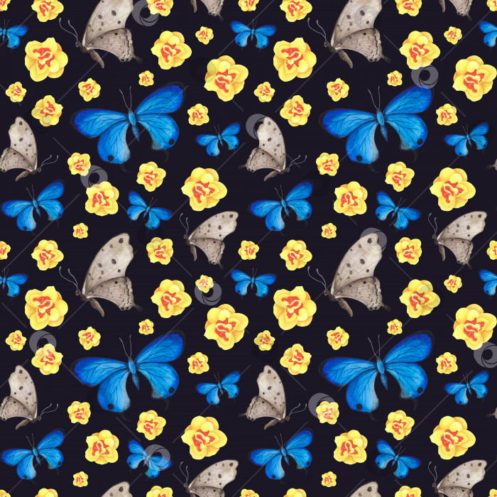 Скачать бесшовный узор Голубая, серая бабочка с нарциссами, выделенными на темном фоне. Акварельная иллюстрация для дизайнерских тканей фотосток Ozero