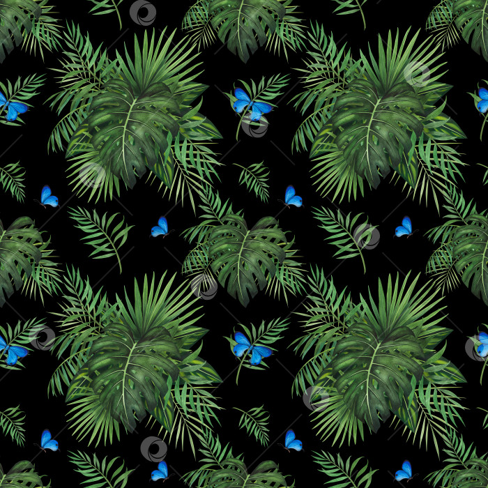 Скачать бесшовный узор "Тропические листья монстеры", акварельная бабочка, выделенная черным цветом. Акварельный дизайн ботанической иллюстрации фотосток Ozero