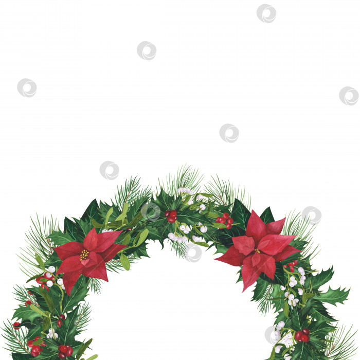 Скачать обрамите рождественский остролист, пуансеттию, омелу, выделенные на белом фоне. Рамка, нарисованная акварелью от руки. Иллюстрация для дизайна фотосток Ozero