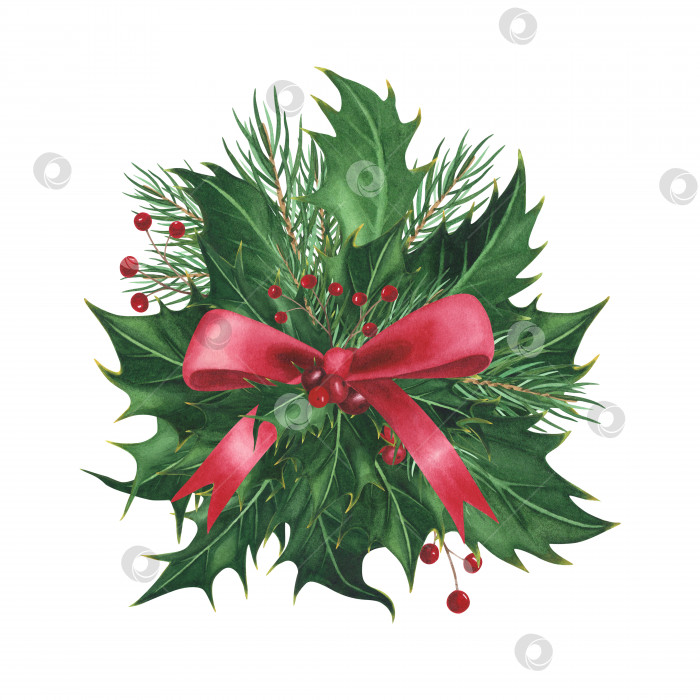 Скачать Рождественская елка остролист, сосновая ветка с красным бантом, выделенным на белом фоне.Рождественская иллюстрация, нарисованная акварелью от руки. Искусство для дизайна фотосток Ozero