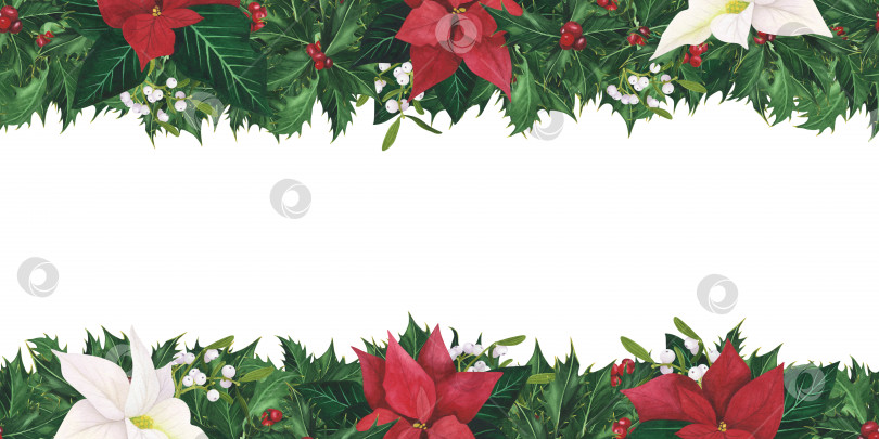 Скачать Бесшовная рамка с рождественскими листьями остролиста, ягодами пуансеттии, омелы. Акварельная иллюстрация для шаблона, плаката фотосток Ozero