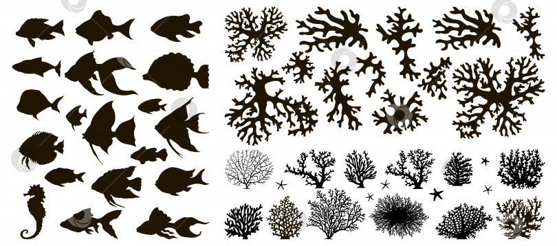 Скачать Набор подводных объектов. Набор векторных силуэтов рыб и кораллов черного цвета, выделенных на белом фоне в монохромном стиле. фотосток Ozero