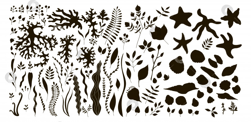 Скачать Большой набор подводных предметов. Векторная иллюстрация, изолированная на белом фоне. Набор кораллов, водорослей, ракушек, морских звезд, травы. фотосток Ozero