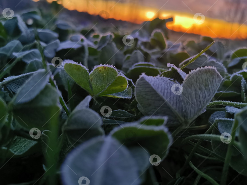 Скачать Рассвет фотосток Ozero