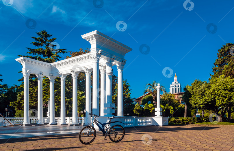 Скачать Батуми, Грузия. Одинокий велосипед на бульваре рядом с колоннадой фотосток Ozero