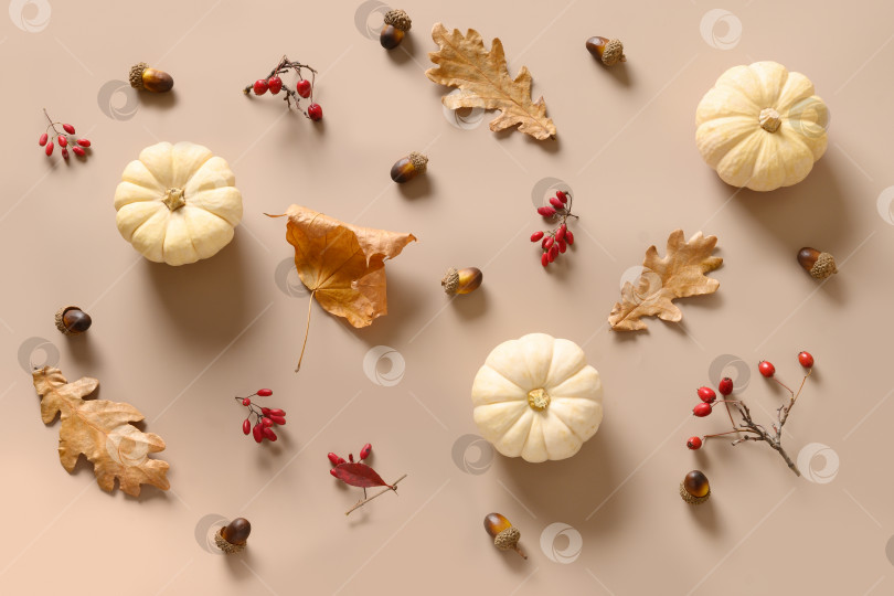 Скачать Осенняя композиция с белыми тыквами и красными ягодами, сухими дубовыми листьями. фотосток Ozero