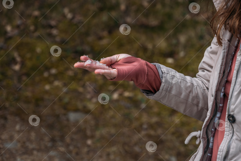 Скачать Женщина в джемпере с дырками для пальцев и держащая в руке тающий снег во время весеннего похода. фотосток Ozero