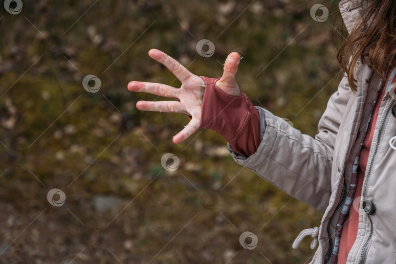 Скачать Раскрытая ладонь с частичками снега. Мокрая и холодная женская рука в джемпере с отверстием для большого пальца во время весеннего похода. фотосток Ozero