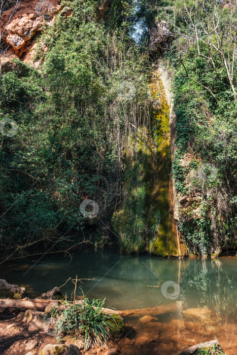 Скачать Озеро с зеленой водой, образованное небольшим водопадом на склоне горы с деревьями в весенний солнечный день фотосток Ozero