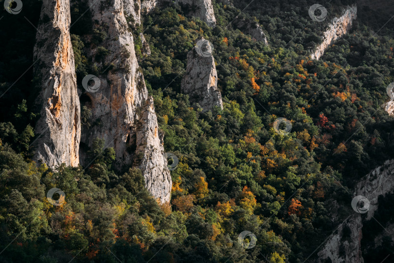Скачать Пейзаж с горами и лесом в солнечный осенний день фотосток Ozero