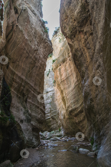 Скачать Ущелье Авакас. Красивый каньон на Кипре. фотосток Ozero