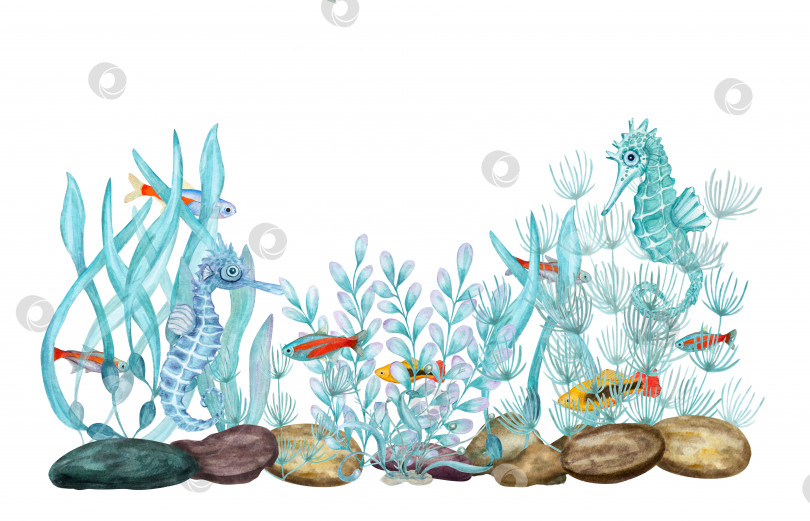 Скачать Акварельная иллюстрация, изображающая набор представителей морской фауны, изолированных на белом фоне. Морской конек, морская рыба, камень, кораллы, водоросли, растения, вода, море, океан. Печать, дизайн, плакат, ткань, украшение, узор фотосток Ozero