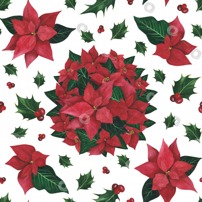 Скачать Рождественский бесшовный узор из остролиста пуансеттии, выделенный на белом фоне. Акварельная рисованная иллюстрация для дизайна фотосток Ozero