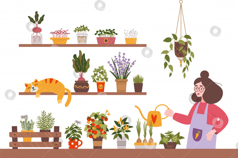 Скачать Женщина поливает растения на своем огороде в мультяшном стиле. Травы, овощи и микрозеленые растения - хобби по садоводству в помещении. Уютное занятие. Модная современная изолированная векторная иллюстрация, нарисованная от руки, плоская фотосток Ozero