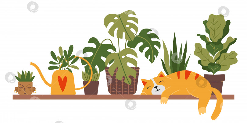 Скачать Милый кот спит на полке рядом с комнатными растениями в мультяшном стиле. Растения в горшках для интерьера. Городское уютное домашнее хобби по садоводству. Модная современная изолированная векторная иллюстрация, нарисованная от руки, плоская фотосток Ozero