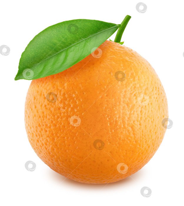 Скачать Апельсин с листьями, выделенными на белом фоне фотосток Ozero