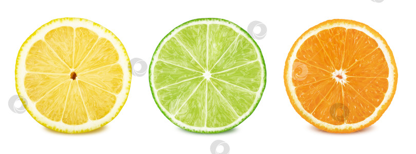Скачать Набор фруктовых ломтиков: лимон, лайм, апельсин. фотосток Ozero