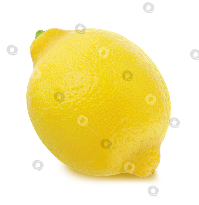 Скачать Свежий лимон, выделенный на белом фоне фотосток Ozero