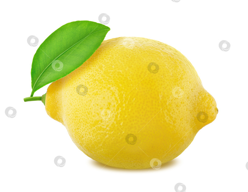 Скачать Лимон с листьями, выделенными на белом фоне фотосток Ozero