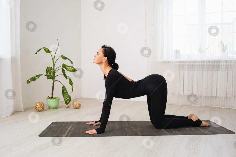 Скачать Женщина в черной спортивной одежде, практикующая йогу, выполняющая упражнение Марджариасана, поза кошки с наклоном спины, тренирующаяся в комнате на коврике фотосток Ozero