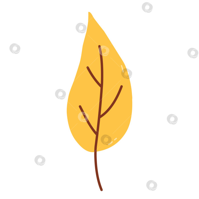 Скачать Осенний желтый лист, выделенный на белом фоне фотосток Ozero