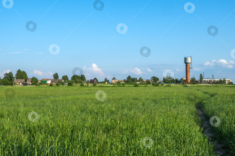 Скачать Широкое открытое поле с зеленой травой в летний день с ясным голубым небом и деревней на горизонте фотосток Ozero
