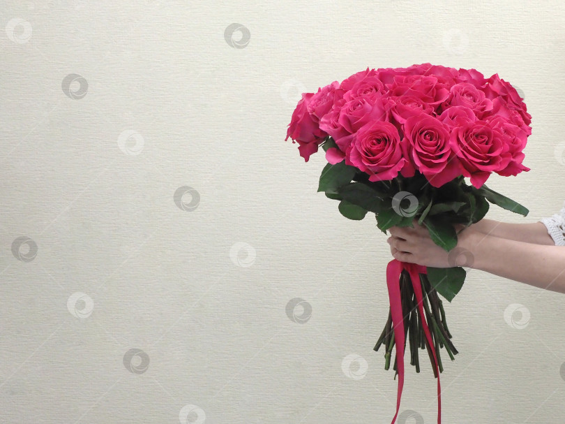 Скачать Букет красных роз в женских руках. фотосток Ozero