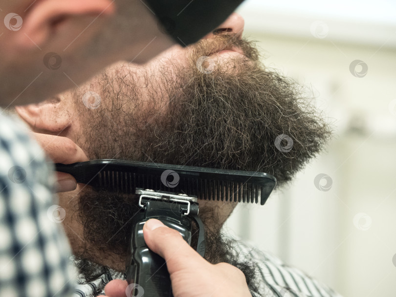 Скачать Подстригает бороду машинками для стрижки в парикмахерской. Закрыть. фотосток Ozero