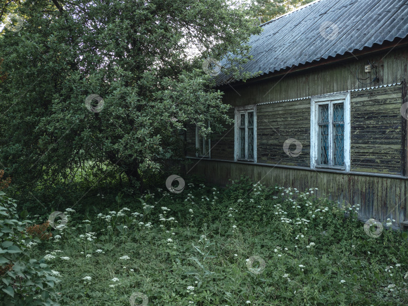 Скачать Очень старый аутентичный крестьянский деревянный дом с зеленым садом, традиционный дом в деревнях России фотосток Ozero