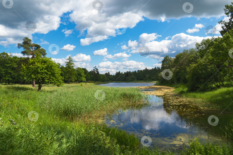 Скачать Летний яркий пейзаж с озером, зеленью и облаками. фотосток Ozero