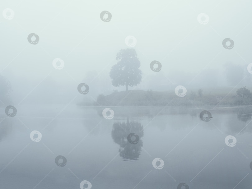 Скачать Мистический утренний пейзаж с туманом над озером. Мягкий фокус фотосток Ozero