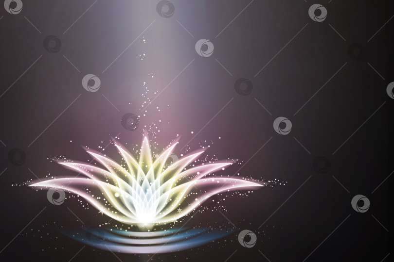 Скачать Символ священного лотоса, символ цветка, излучающий свет со всех сторон, на темно-фиолетовом фоне с пространством для копирования фотосток Ozero