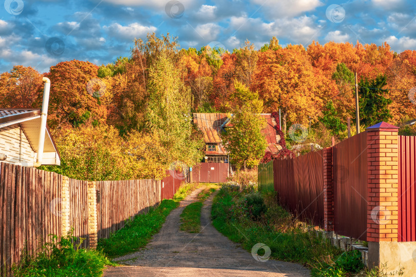 Скачать Тупиковая деревенская осенняя улица. Сельская усадьба. фотосток Ozero