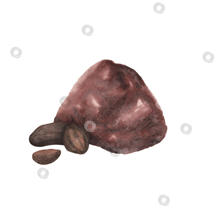Скачать Натуральный коричневый какао-порошок и бобы, приготовленные изолированно. Акварельная иллюстрация, нарисованная от руки. Искусство для дизайна шоколада фотосток Ozero