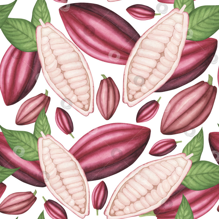 Скачать Розовый стручок какао с бесшовным рисунком из бобов на белом фоне. Иллюстрация к акварельному рисунку от руки. Искусство для украшения и дизайна фотосток Ozero