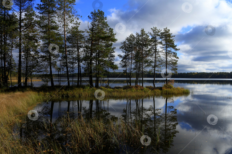 Скачать Тишина фотосток Ozero