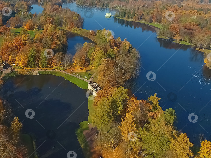 Скачать Аэрофотосъемка осеннего парка. Вид сверху на озеро и лес. Гатчина. Россия фотосток Ozero