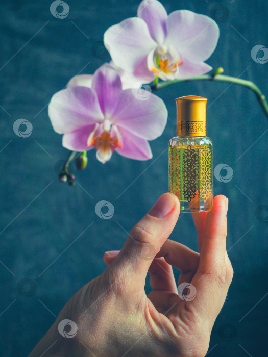 Скачать Духи Arabian oud attar в мини-флаконах. фотосток Ozero